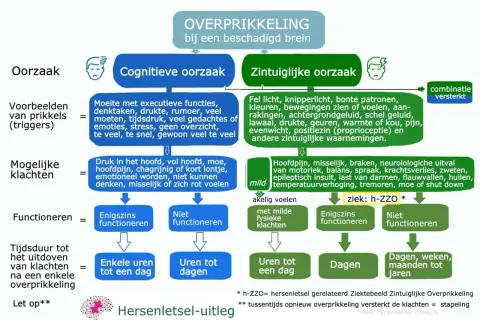 Schema over overprikkeling bij hersenletsel: oorzaken, klachten, functioneren en duur. Behandeling van een overbelast zenuwstelsel is hierin verwerkt.