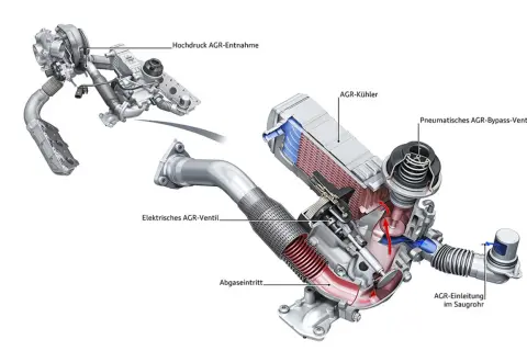 Schnittdarstellung eines AGR-Systems für ein Auto. Zeigt AGR-Kühler, Ventile und AGR-Entnahme.
