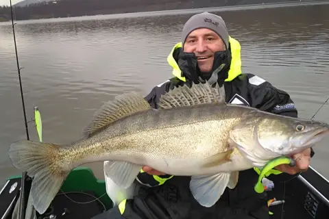 Glücklicher Angler hält einen großen Zander, gefangen im Edersee. Die Fische hier sind beeindruckend!