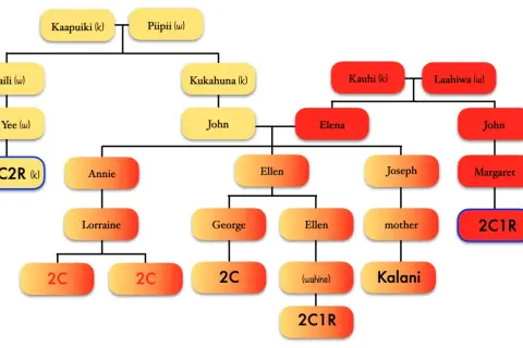 Arbre généalogique avec des noms et des liens familiaux, utilisant des formes colorées.