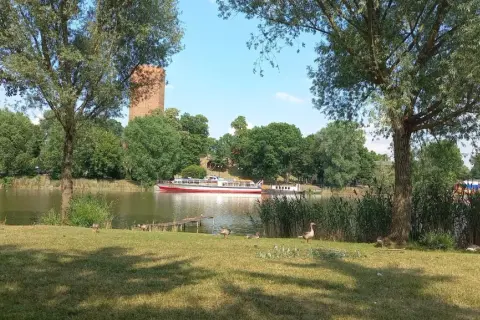 Gęsi spacerują po trawie nad jeziorem Gopło, gdzie pływa statek wycieczkowy. W tle widać wieżę.