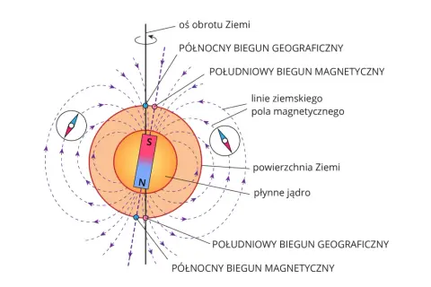Ilustracja przedstawia Ziemię z polem magnetycznym, biegunami i kompasem.