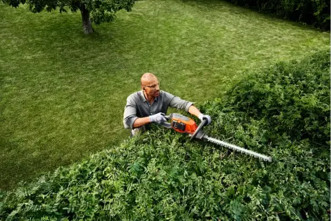 Hombre con gafas y guantes realiza la poda de setos con una cortasetos eléctrica. El césped verde y un árbol completan la escena.