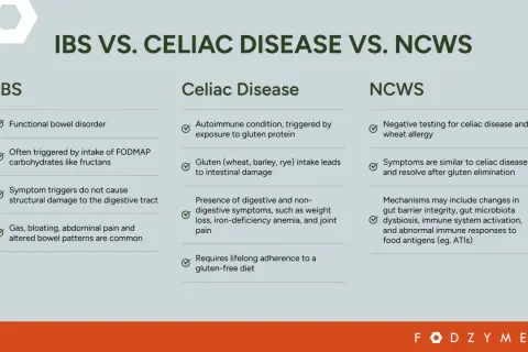 Porównanie IBS, celiakii i NCWS. Celiakia objawy: choroba autoimmunologiczna wywołana glutenem, prowadząca do uszkodzenia jelit i wymagająca diety bezglutenowej.