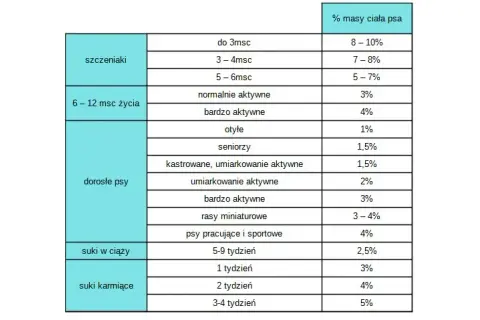 Ile suchej karmy dla psa? Oblicz idealną dawkę krok po kroku