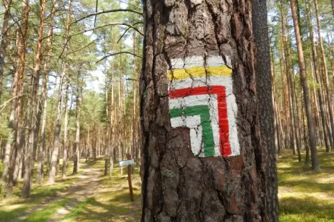 Jak powstają szlaki górskie w Polsce? Od pomysłu po znakowanie PTTK