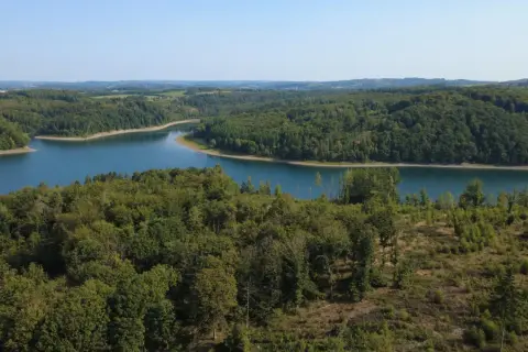 Ein idyllischer Blick auf die Wiehltalsperre mit ihren umliegenden Wäldern. Perfekt für Wanderwege und Naturgenuss.