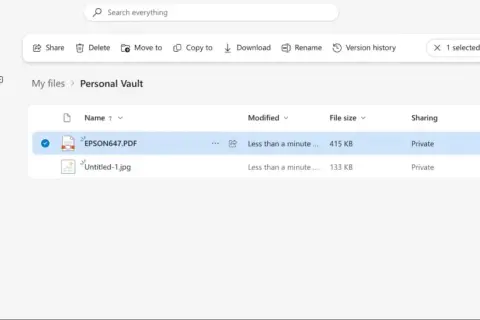 OneDrive interface showing a PDF and JPG file in a "Personal Vault" folder, similar to free file sharing sites like Dropbox.