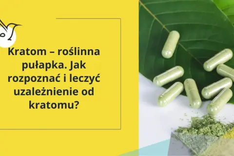 Kratom – roślinna pułapka. Jak rozpoznać i leczyć uzależnienie od kratomu? Kilka kapsułek i proszek na liściach.
