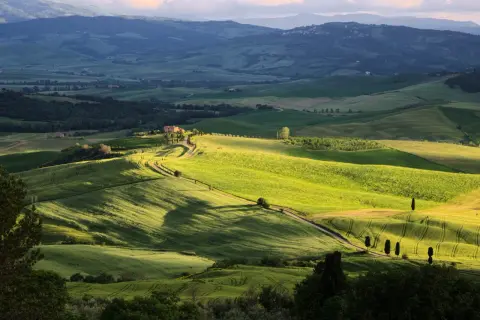 Dolci colline verdi illuminate dal sole, con una strada tortuosa che porta a una casa colonica. Un paesaggio iconico da scoprire: cosa vedere in Val d'Orcia.