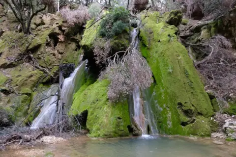 Cascada cubierta de musgo verde vibrante, con agua cayendo sobre rocas y formando un pequeño estanque. Es salt des freu, un rincón natural.