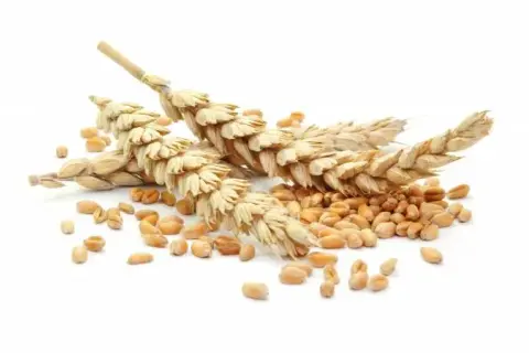 Czy w mące orkiszowej jest gluten? Dowiedz się, co musisz wiedzieć
