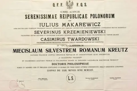 Co to jest odpis dyplomu i dlaczego warto go mieć?