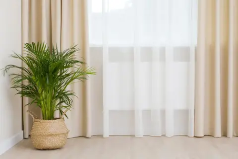Zielona roślina w wiklinowym koszu obok zasłon. Może to być inspiracja do stworzenia tabeli z wymiary okien typowych.