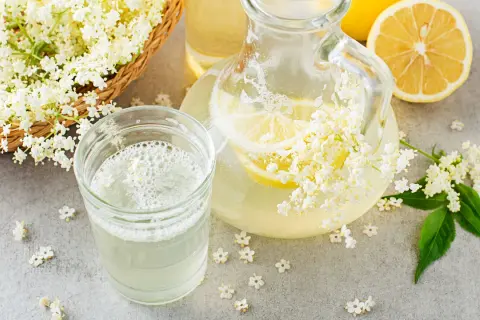 Fiori di sambuco freschi, limone e una caraffa con la ricetta sciroppo di sambuco.