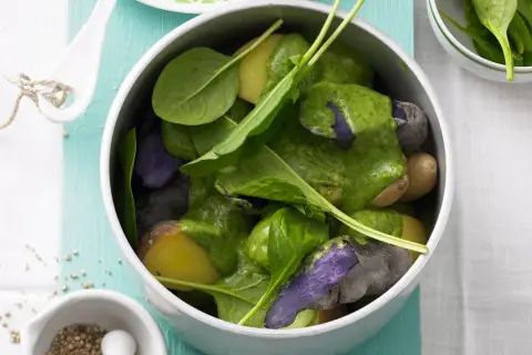 Bunter Kartoffelsalat mit frischem Spinat und einer grünen Soße, inspiriert von Sauerampfer-Rezepten.