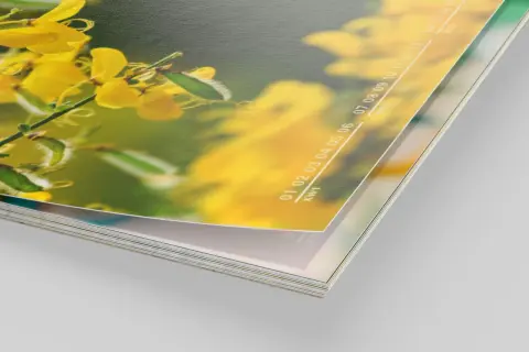 Detalle de calendarios gratis con flores amarillas y números de semanas.