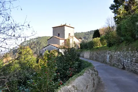 Strada panoramica verso Sant'Andrea di Compito, con un antico borgo in pietra e vegetazione rigogliosa.