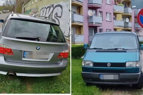 Art. 144 par. 1 KW: Kary za niszczenie zieleni na terenach publicznych