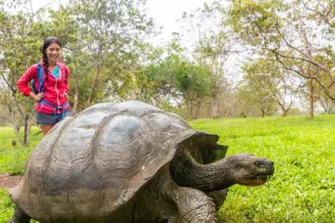 Ile żyją żółwie z Galapagos? Zaskakujące fakty o ich długości życia
