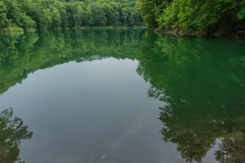 Spokojne, zielone jezioro szmaragdowe w Szczecinie, otoczone gęstym lasem, odbija się w spokojnej tafli wody.