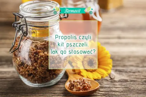 Słoik pełen propolisu, czyli kitu pszczelego, na drewnianym stole. Obok żółty kwiat i łyżeczka z grudkami propolisu.