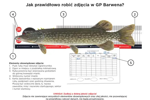 Szczupak 52 cm na miarce, z widocznym numerem zawodnika i godziną złowienia. Kluczowy jest wymiar ochronny ryby.