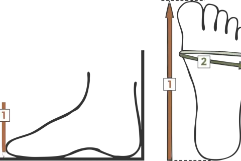Illustration visar hur man mäter foten för att veta hur mycket utrymme i skor vuxen behövs. Mått 1 är längden, mått 2 är bredden.