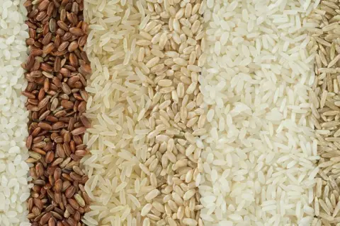 Fünf Reihen Reis: weiß, rot, natur, weiß, braun. Selbst weißer Reis kann schlecht werden, wenn er falsch gelagert wird.