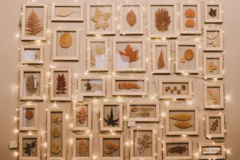 Collection de feuilles séchées encadrées, une belle idée peinture acrylique pour capturer la beauté de l'automne. Guirlande lumineuse ajoutant une touche chaleureuse.