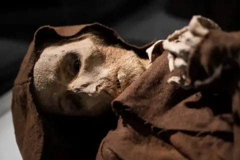 El rostro de una momia de quinto, con su piel curtida y vestimenta monacal marrón, emerge de la oscuridad.