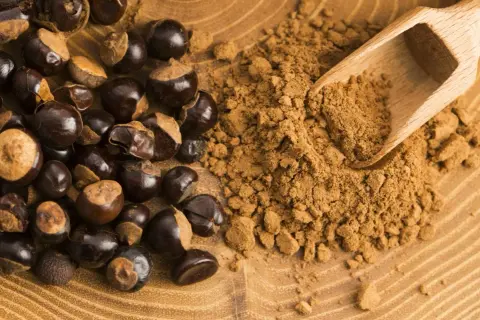 Guarana w ziarnach i proszku, gotowa do zaparzenia. Poznaj sekret naturalnej energii!