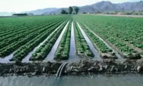 Riegos Azuer: Soluciones efectivas en maquinaria agrícola e irrigación