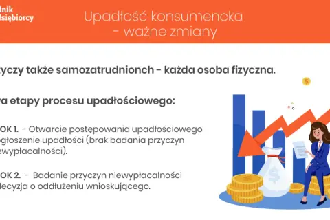 Upadłość konsumencka: Co sprawdza sąd? Przewodnik krok po kroku