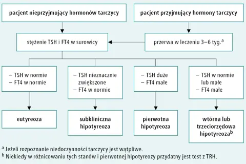 Schemat diagnostyki niedoczynności tarczycy. Czy przed badaniem TSH brać Euthyrox? Pacjent przyjmujący hormony tarczycy powinien zrobić przerwę w leczeniu.