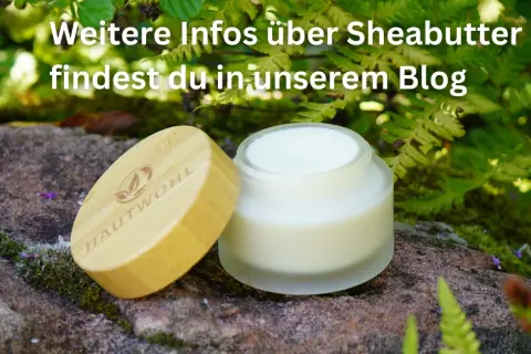 Ein Glas Sheabutter mit Holzdeckel steht im Grünen. Erfahre mehr über die Sheabutter Wirkung Haut in unserem Blog.
