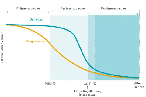 Grafik zeigt den Verlauf von Östrogen und Progesteron. Sie illustriert, wie lange dauern wechseljahre, von der Prämenopause über die Perimenopause bis zur Postmenopause.