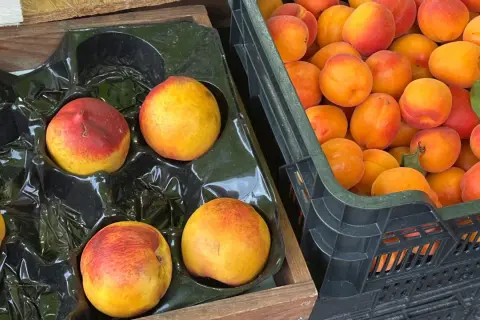Brzoskwinia i nektarynka, dwie odmiany owoców, leżą obok siebie w drewnianej skrzynce i czarnej plastikowej skrzynce.