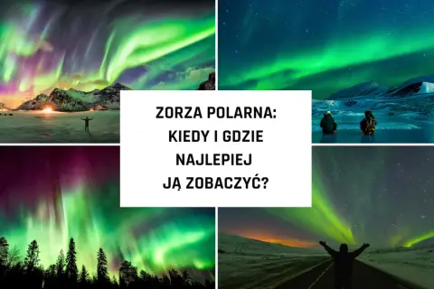 Widok na zorzę polarną, kiedy jest zielona i fioletowa nad ośnieżonymi górami i lasami.