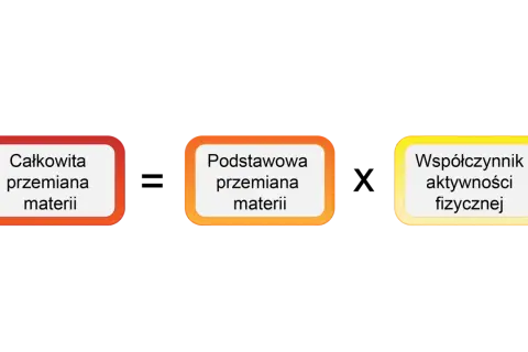 Diagram przedstawia: Całkowita przemiana materii, Podstawowa przemiana materii, Współczynnik aktywności fizycznej. To wyjaśnia, cpm co to.
