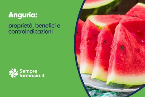 Anguria: proprietà, benefici e controindicazioni. Fette succose di anguria su un piatto, con testo informativo.