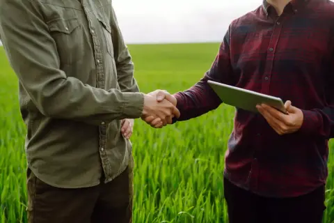 Dwóch rolników na polu omawia umowę dzierżawy gruntu. Ustalają, kto płaci podatek od dzierżawy gruntu.