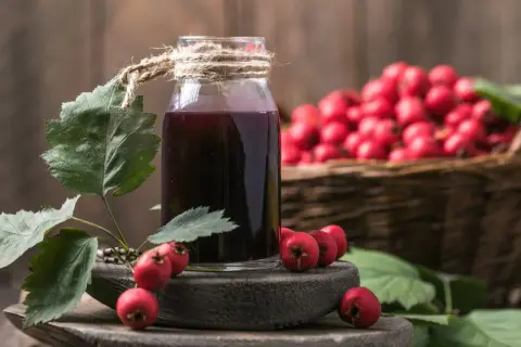 Ania gotuje nalewkę z głogu. Butelka ciemnego płynu, gałązka z liśćmi i owocami głogu, kosz pełen czerwonych owoców w tle.