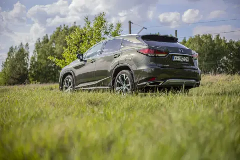Ciemnozielony Lexus RX 300 stoi na trawiastym polu, z drzewami i niebem w tle.