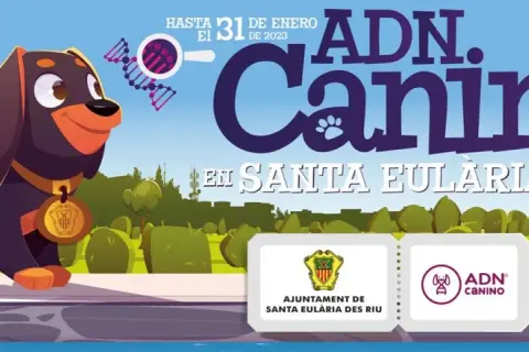Es obligatorio censar al perro en el ayuntamiento y sus consecuencias