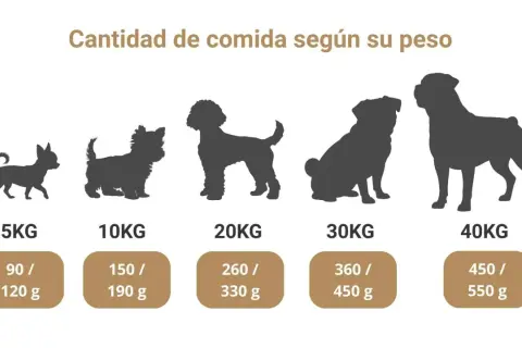 Tabla de comida para perros cachorros, muestra la cantidad de alimento según el peso del can.