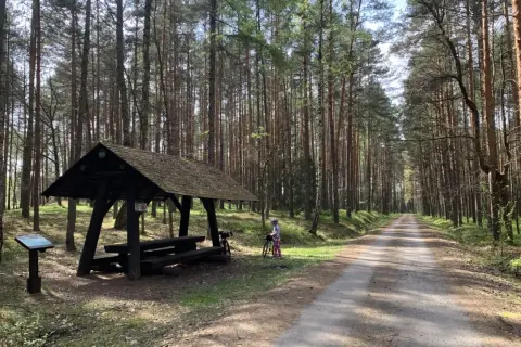 Wiatka z ławkami i stołem w lesie, obok rower i dziecko. Idealne miejsce na odpoczynek podczas jazdy po **lasy janowskie trasy rowerowe**.