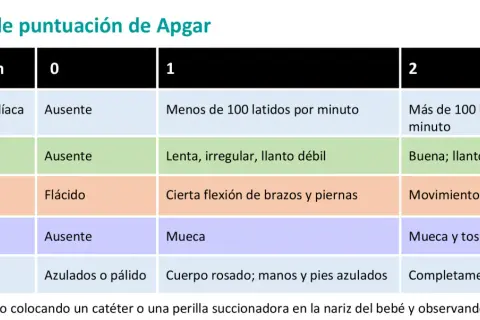Tabla del test de Apgar: evalúa frecuencia cardíaca, respiración, tono muscular, reflejos y color del bebé.