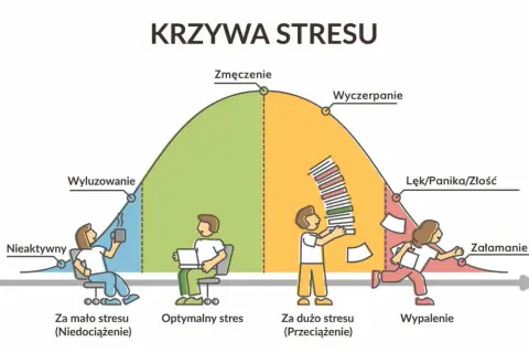 Krzywa stresu pokazuje, jak rozładować stres u nastolatków. Od niedociążenia, przez optymalny stres, po przeciążenie i wypalenie.