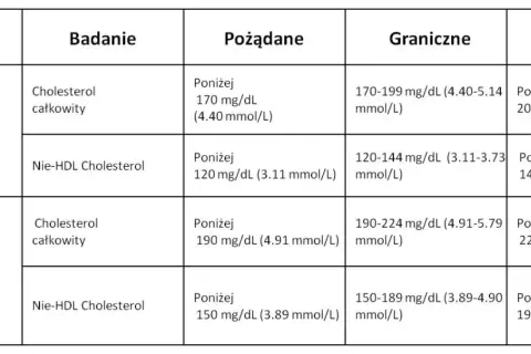 Cholesterol całkowity 250 – czy to dużo i jakie niesie ryzyko?